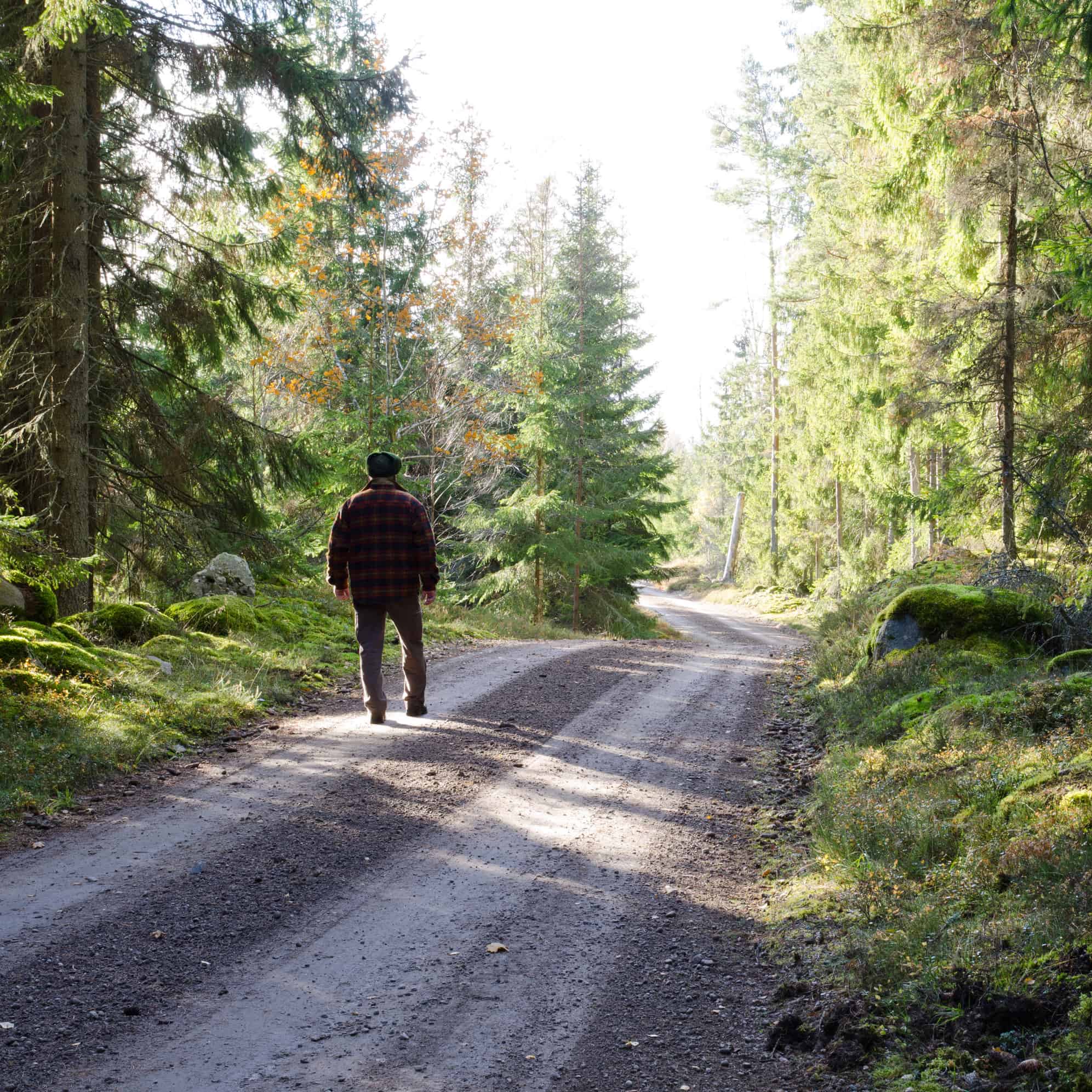 man walking on road in the woods