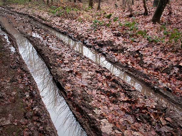 Tire tracks through the mud