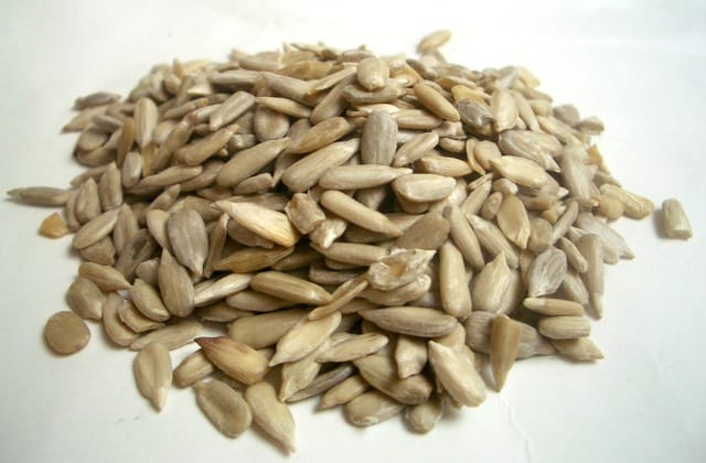 Sunflower seeds